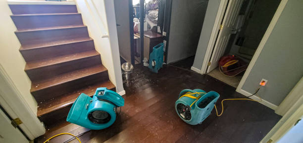 Newport, NC Water damage restoration Pros