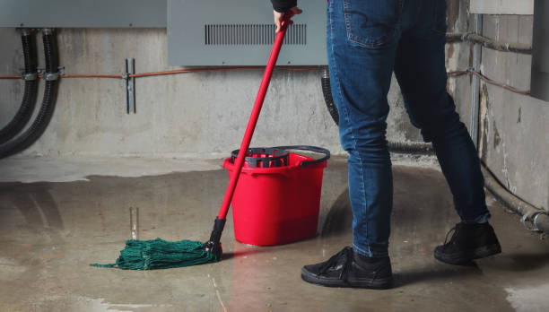Best Emergency water damage restoration  in Newport, NC