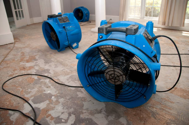 Best Commercial water damage restoration  in Newport, NC