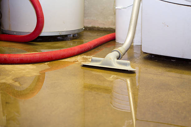 Best Water damage restoration company  in Newport, NC