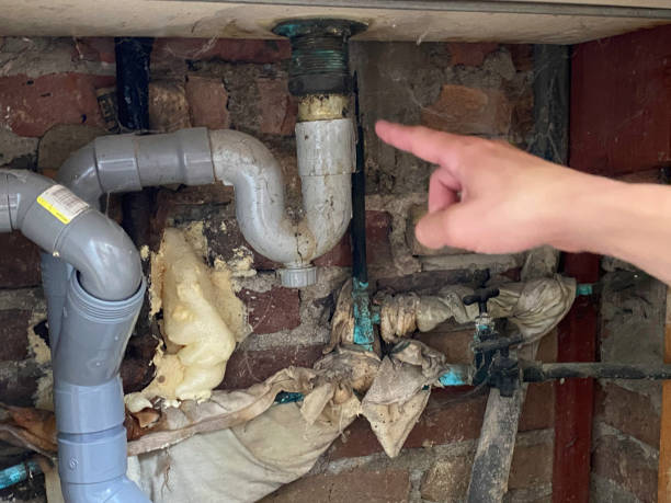 Best Flooded house restoration  in Newport, NC